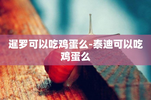 暹罗可以吃鸡蛋么-泰迪可以吃鸡蛋么